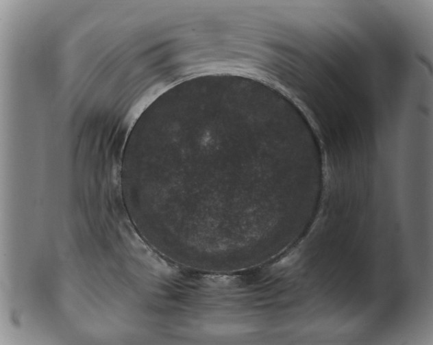 X0000100351529200806061102