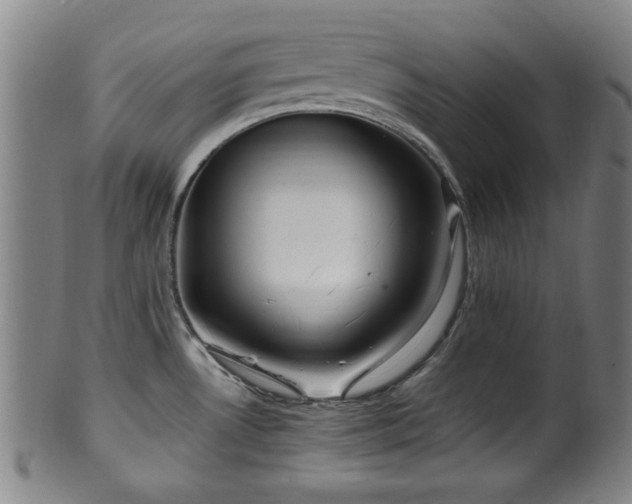 X0000100351530200806061103