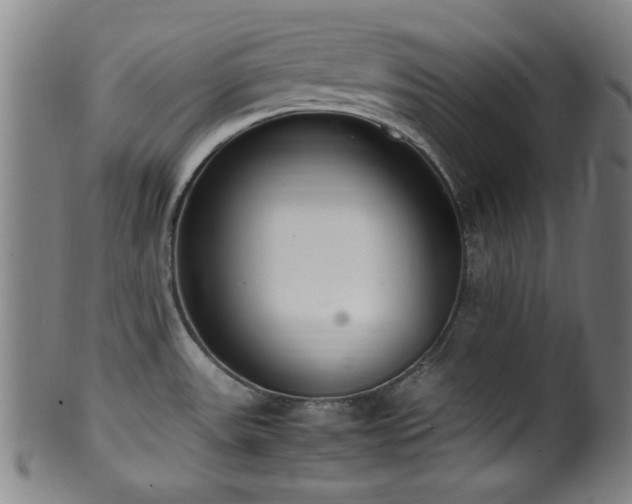 X0000100351531200806061103