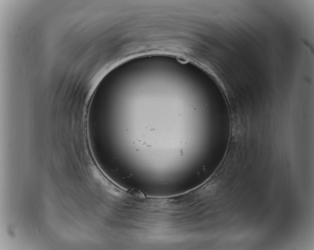 X0000100351532200806061103