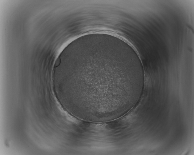 X0000100351533200806061103