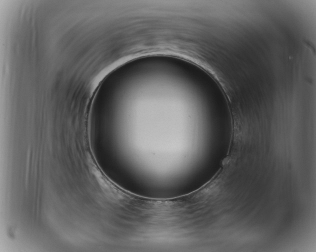 X0000100351534200806061103