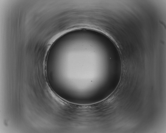 X0000100351535200806061103