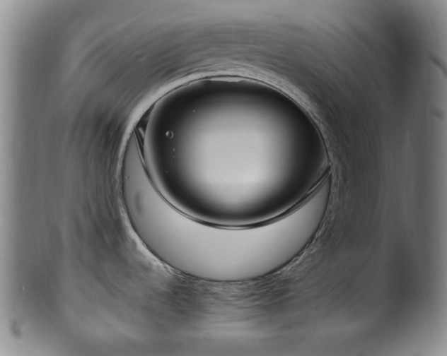 X0000100351536200806061103