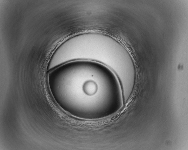 X0000100350001200806131003