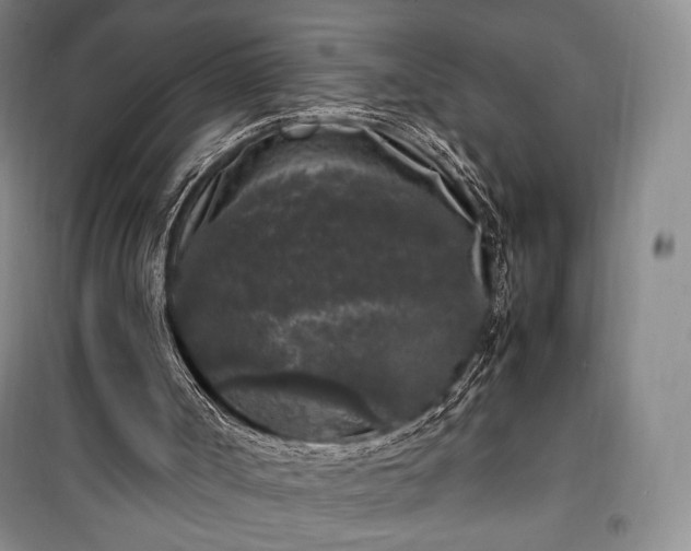X0000100350002200806131003