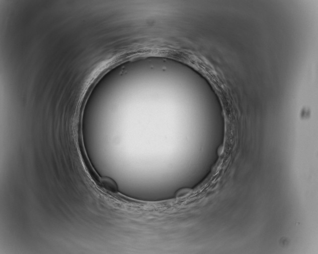 X0000100350003200806131003