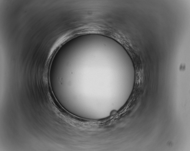 X0000100350004200806131003