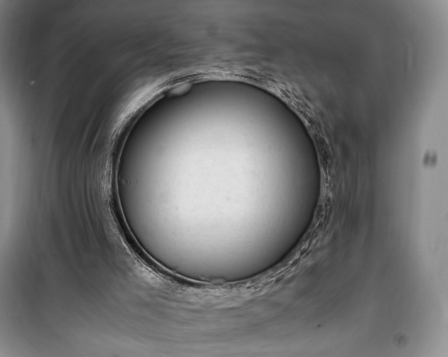 X0000100350005200806131003