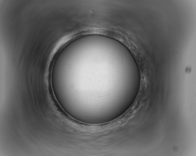 X0000100350006200806131003