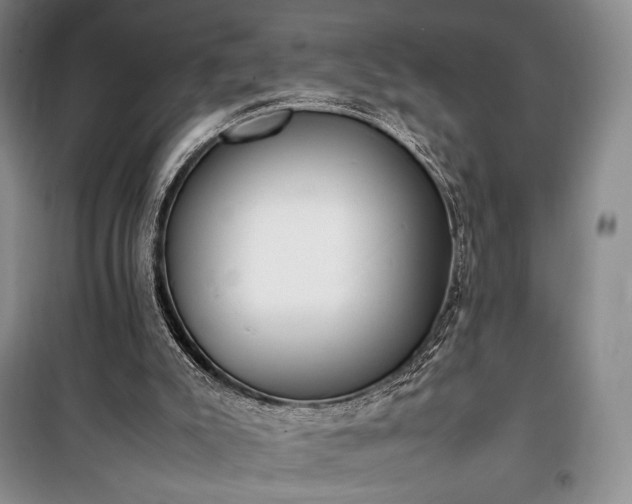 X0000100350007200806131003