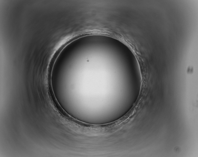 X0000100350008200806131003