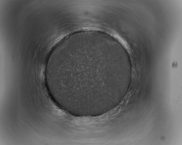X0000100350009200806131003