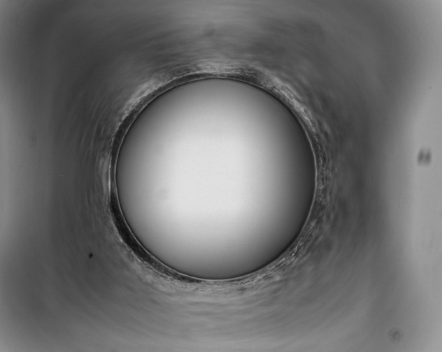 X0000100350011200806131003