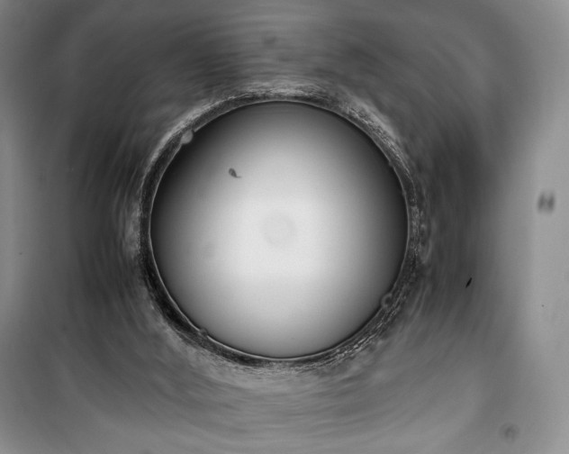 X0000100350012200806131002