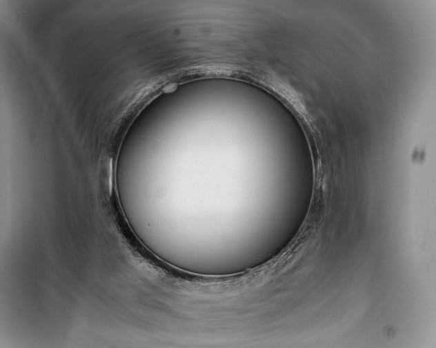 X0000100350013200806131002