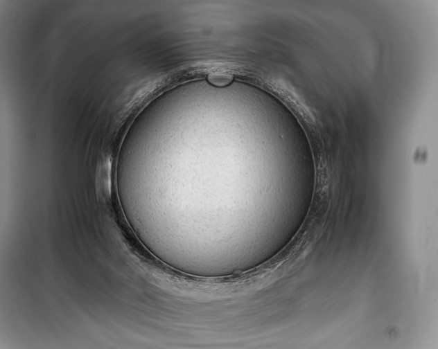X0000100350014200806131002
