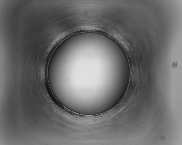 X0000100350015200806131002