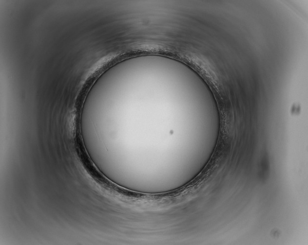 X0000100350016200806131002