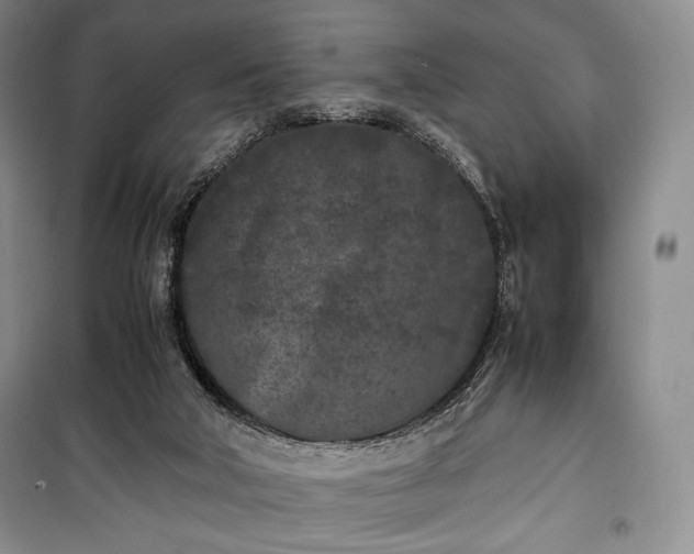 X0000100350018200806131002