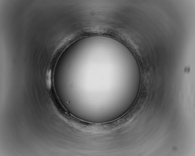 X0000100350020200806131002