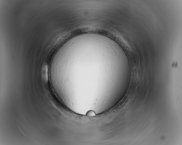 X0000100350022200806131002