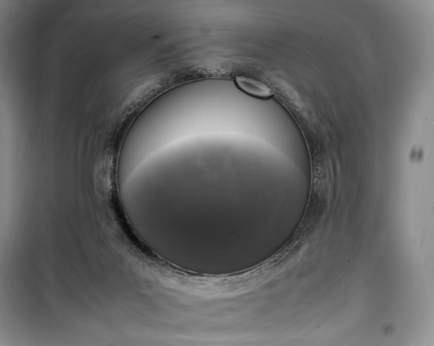 X0000100350023200806131002