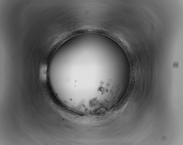 X0000100350024200806131002