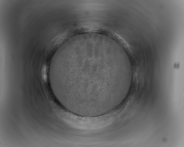 X0000100350026200806131002