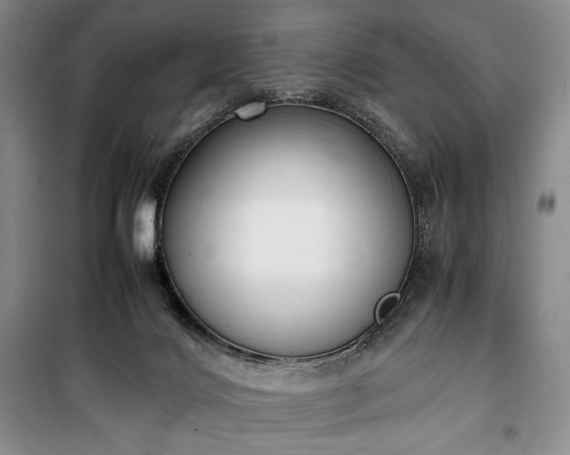 X0000100350028200806131002