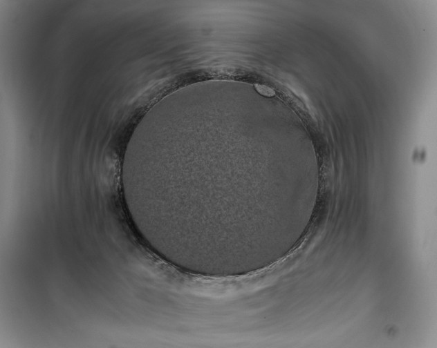 X0000100350029200806131002