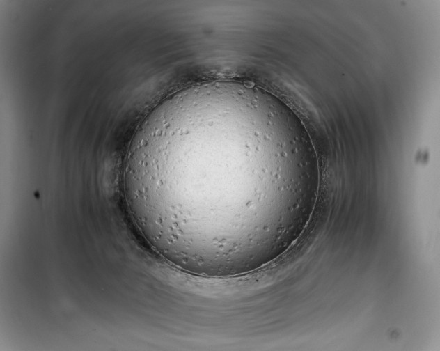 X0000100350030200806131002