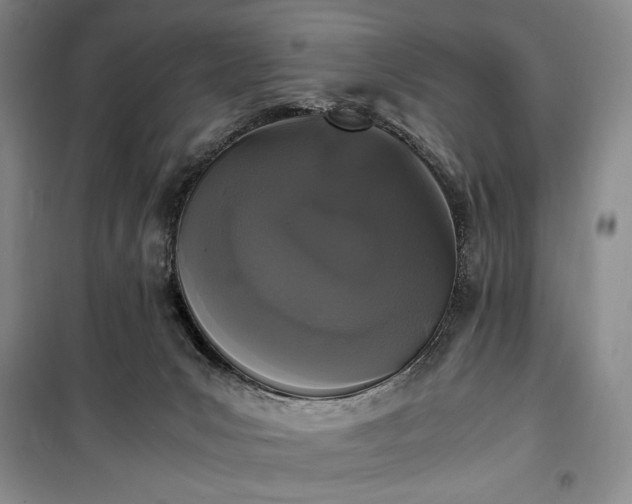X0000100350031200806131002