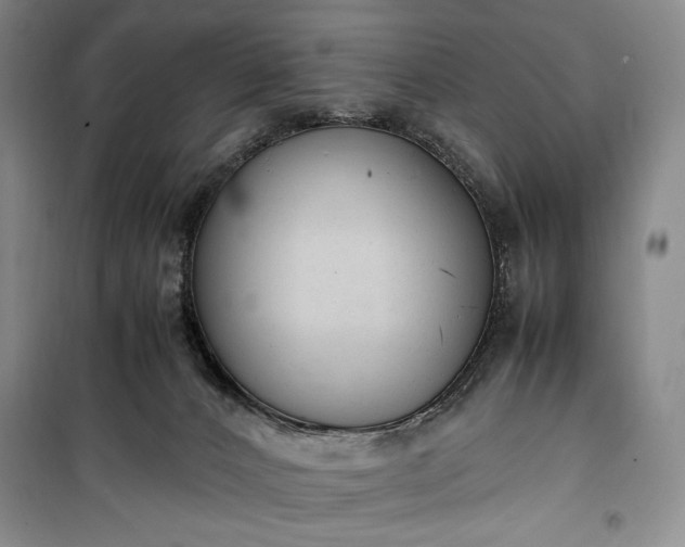 X0000100350032200806131002