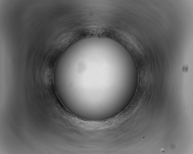X0000100350034200806131002