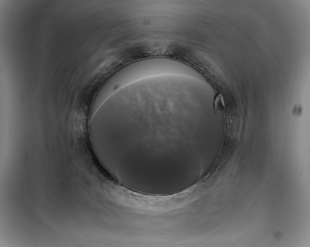 X0000100350035200806131002