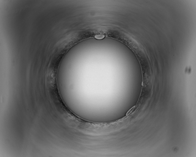X0000100350037200806131002
