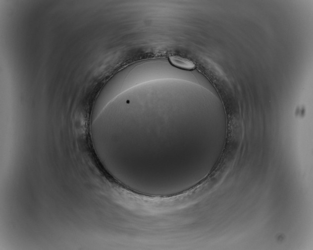 X0000100350039200806131002