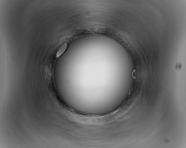 X0000100350040200806131002