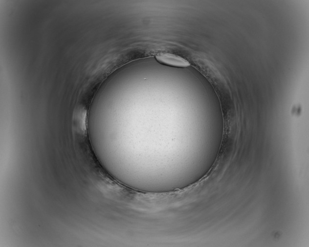 X0000100350041200806131002