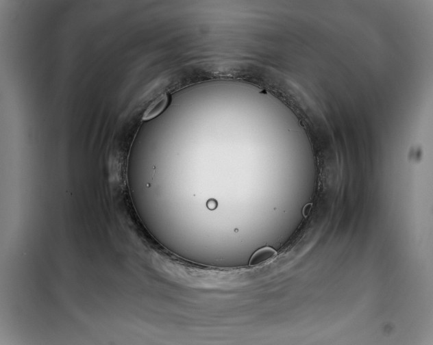 X0000100350044200806131002