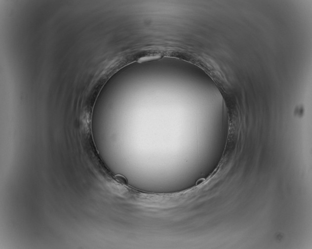 X0000100350045200806131002