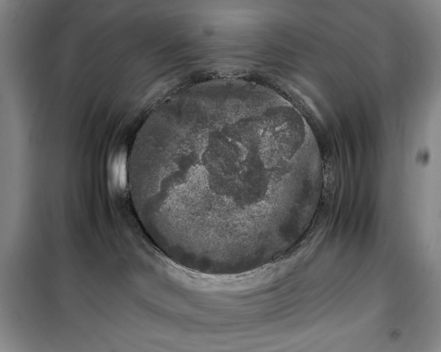 X0000100350046200806131002