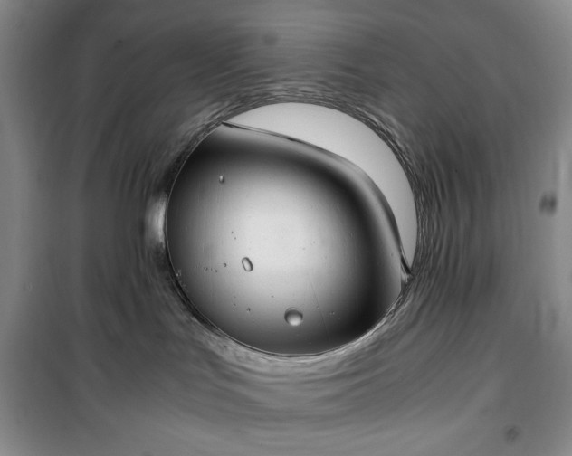 X0000100350047200806131002