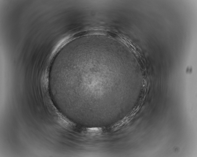 X0000100350053200806131001