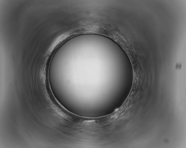 X0000100350054200806131001