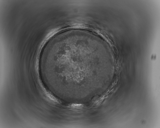 X0000100350055200806131001