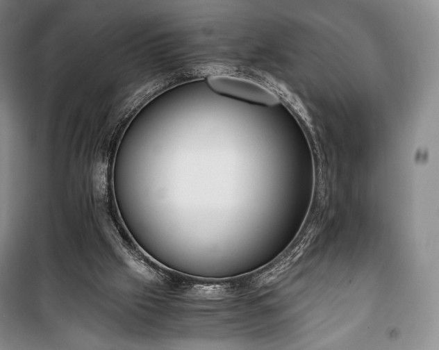 X0000100350057200806131001