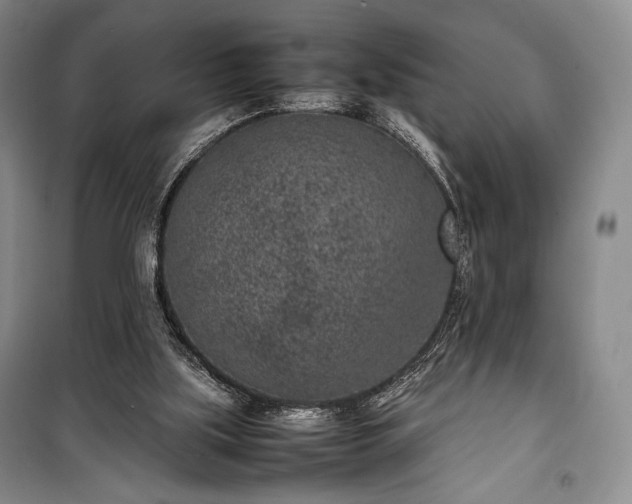 X0000100350059200806131001