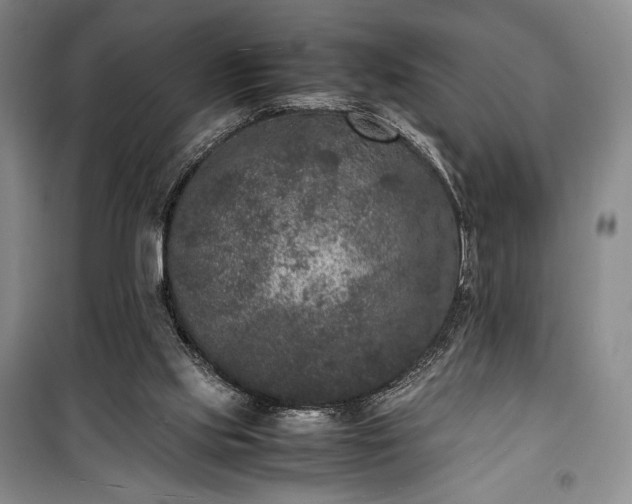 X0000100350061200806131001